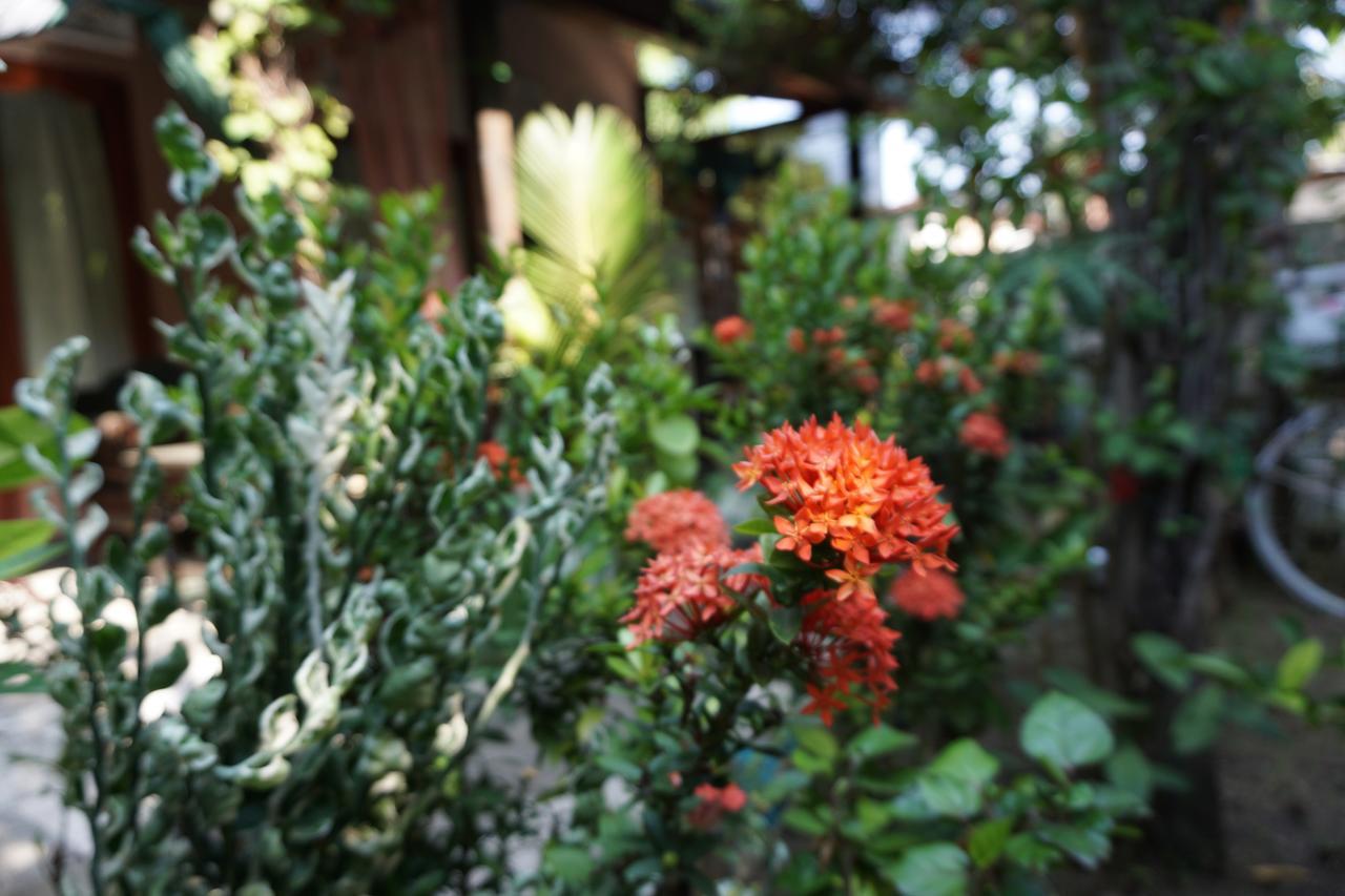 Salon De Nomad Gili T. Bed & Breakfast Gili Trawangan Exterior photo